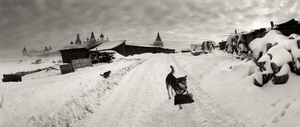 Solovki, White Sea, Russia, 1992, Gelatin silver print