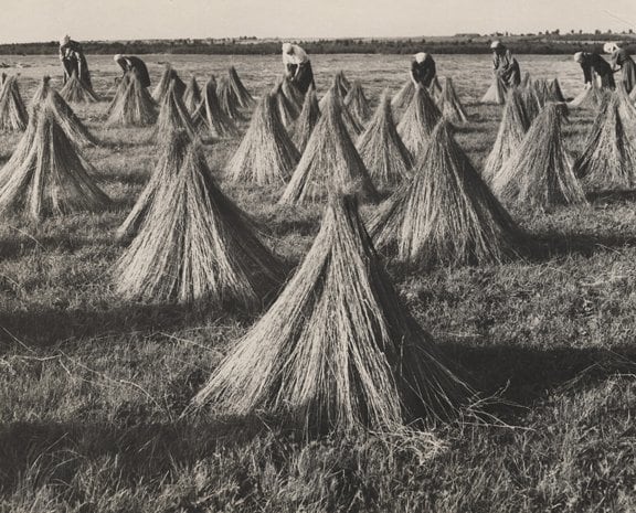 Olga Lander Untitled (Women assembling haystacks), 1930s