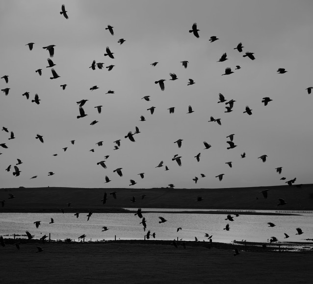 Hamnavoe, Yell, Shetland
