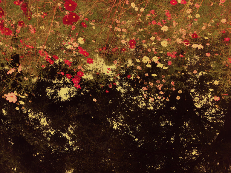 Albarr&aacute;n Cabrera (b. 1969, Spain)