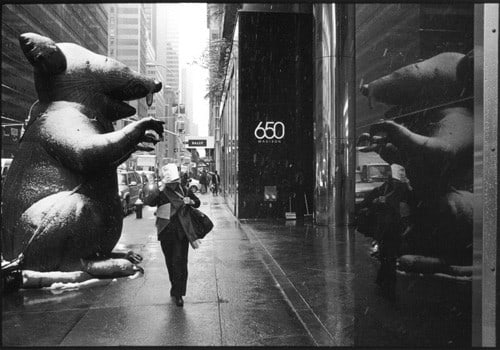 Union rat, Madison Avenue, January 26, 2011, Gelatin silver print