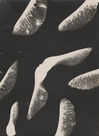 Mikhail Tarkhanov (1888-1962)