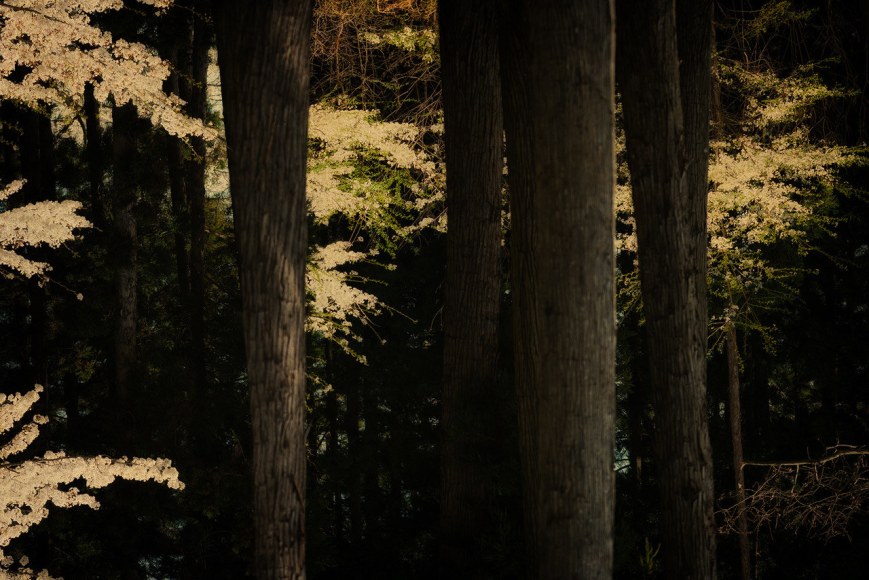 Albarr&aacute;n Cabrera (b. 1969, Spain)