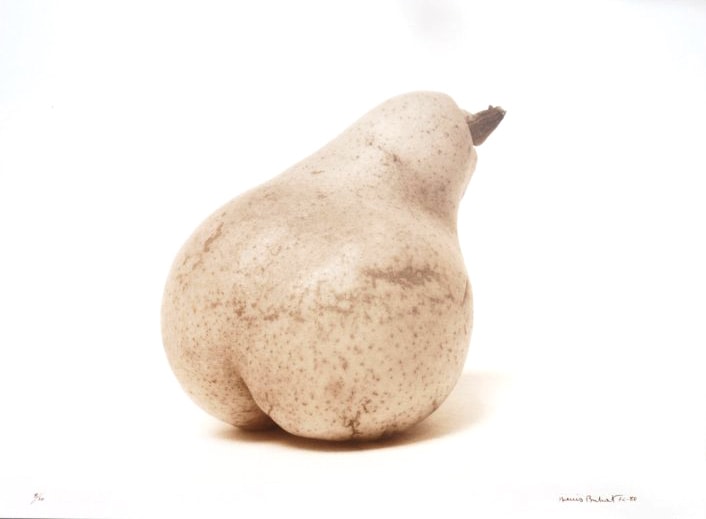 Poire Williams (Williams Pear),&nbsp;1971-2