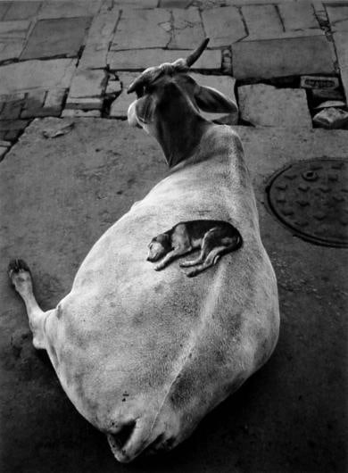 Varanasi, India, 1999