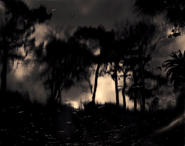 #5, 2016, C-type print