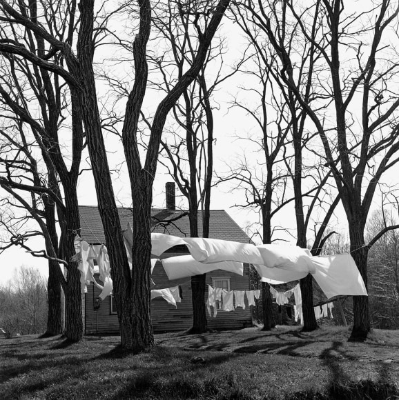 Clothesline, Northport, Maine, 1971