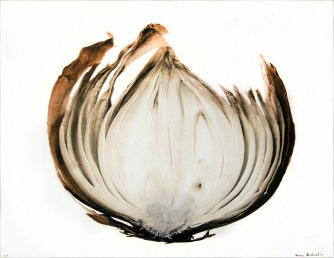 Tranche d&#039;oignon (Slice of onion),&nbsp;2002