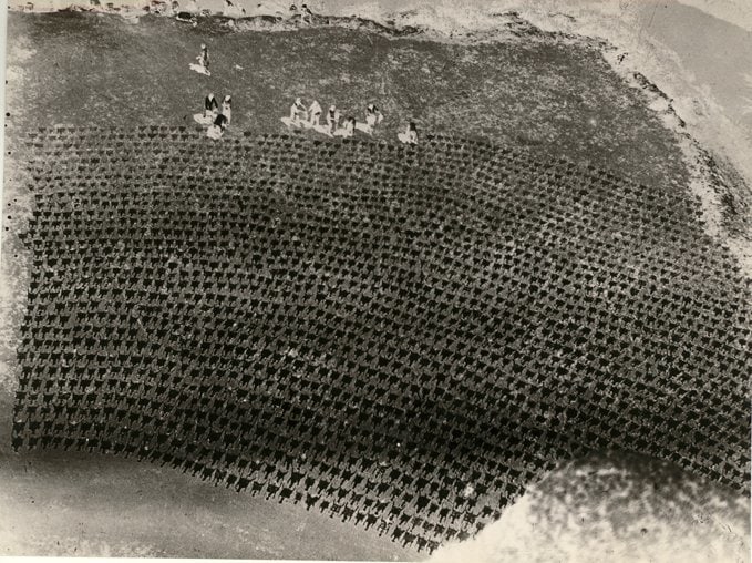 Drying Sheep Skin, 1929