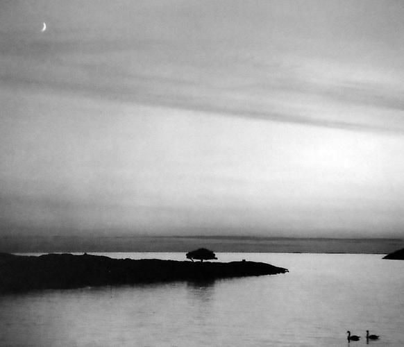 Pentti Sammallahti (b. 1950, Helsinki), Jurmo, Finland, 2004
