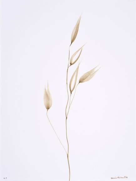 Folle Avoine (Wild Oats), 1987, printed 2008