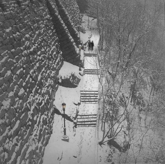 Alexey Titarenko: New York