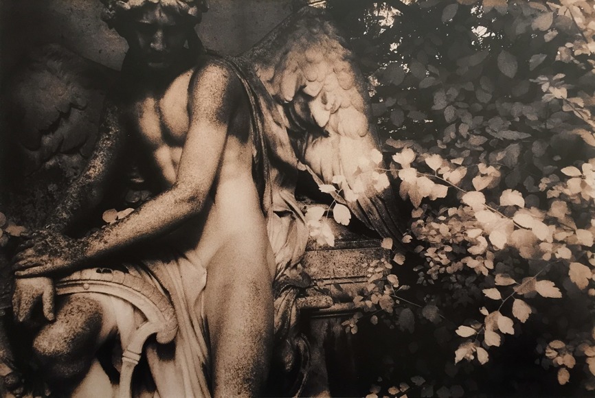 Seraph, Vienna, 1993