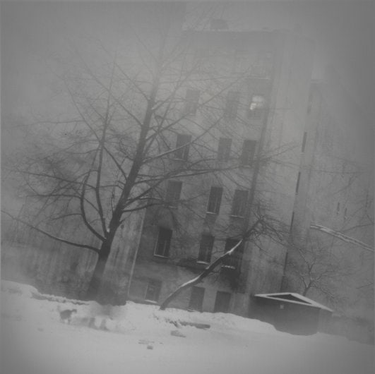 Alexey Titarenko Trees in Snow, St. Petersburg, 1996