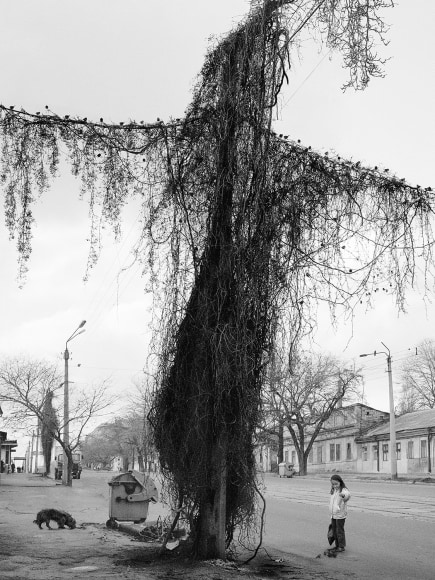 Odessa, Ukraine,&nbsp;2004, Gelatin silver print