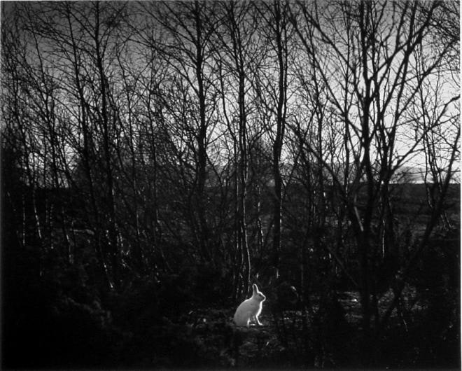 Pentti Sammallahti (b. 1950, Helsinki)