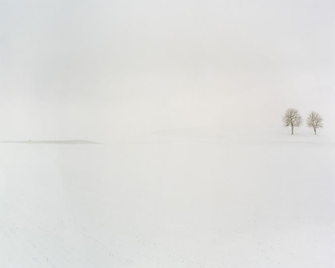 #1, 2004, C-type print