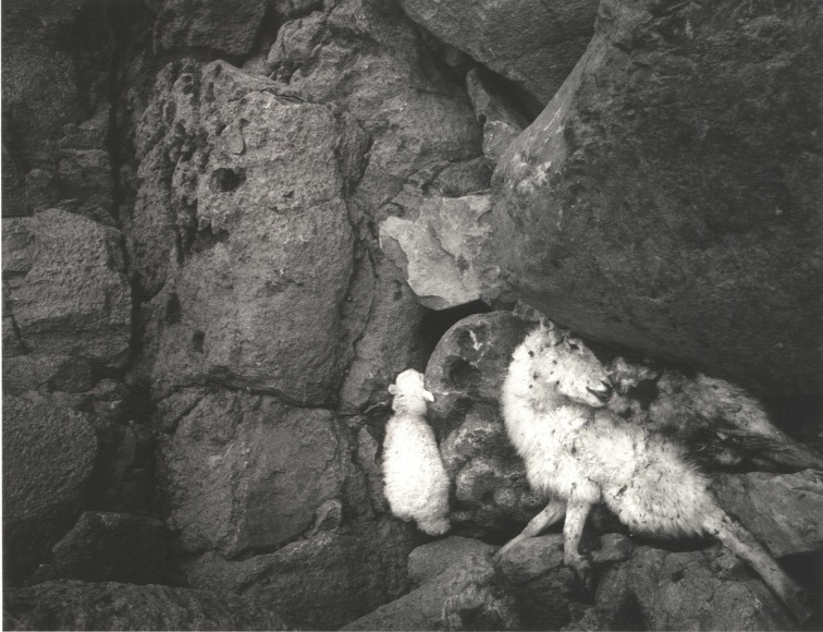 St. Govan&#039;s Head, Wales,&nbsp;1995, Gelatin silver print