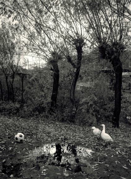 Transylvania, Romania