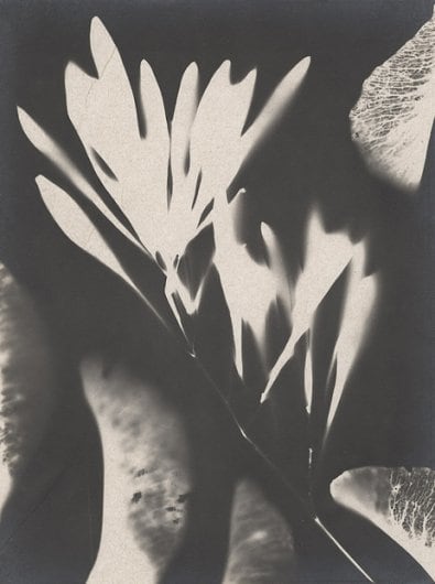 Mikhail Tarkhanov (1888-1962)