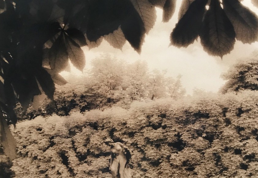 Marcia Lippman (b. 1944, New York)