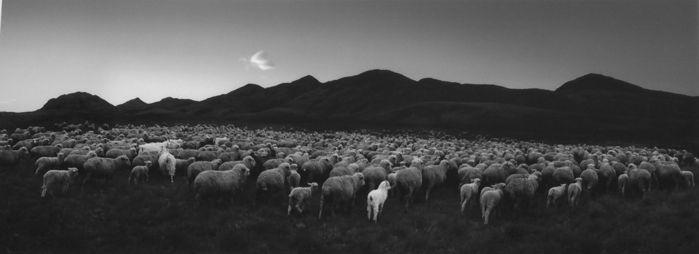 Barum-Khemchik, Tuva, 1997, Gelatin silver print