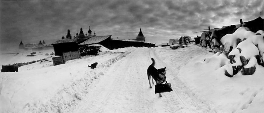 Pentti Sammallahti Solovki, White Sea, Russia (dog with bag), 1992