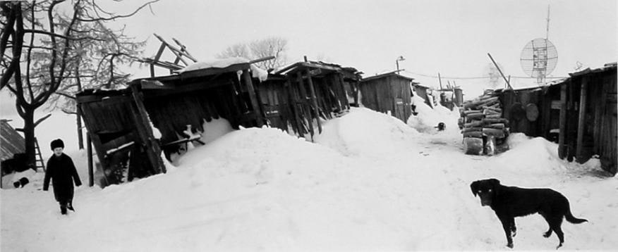 Pentti Sammallahti Solovki, White Sea, Russia (boy and dog), 1992