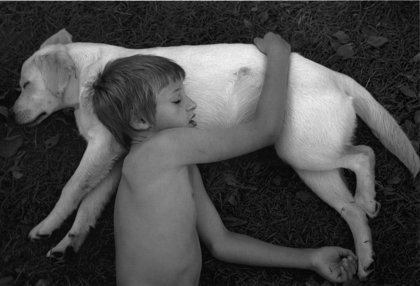 Pyh&auml;j&auml;rvi, Finland (sleeping boy and dog)