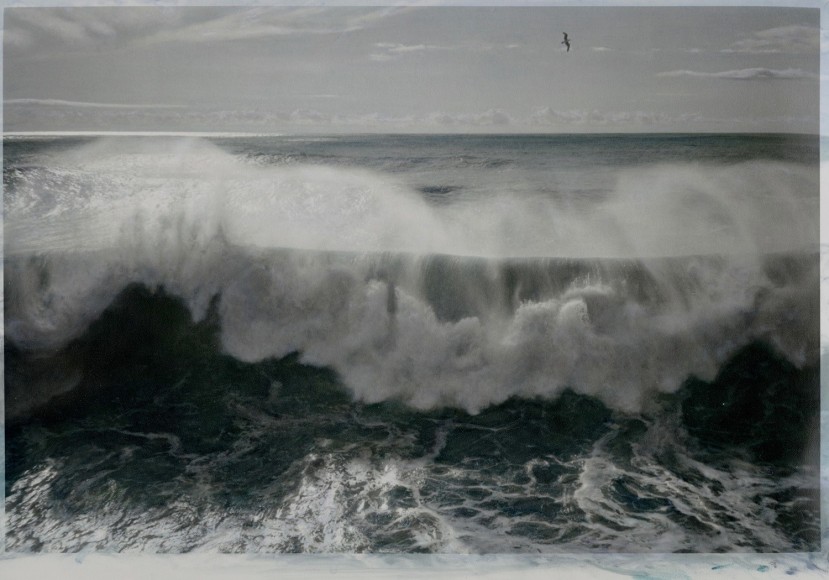 Ann Rhoney (b. 1953, Niagara Falls)