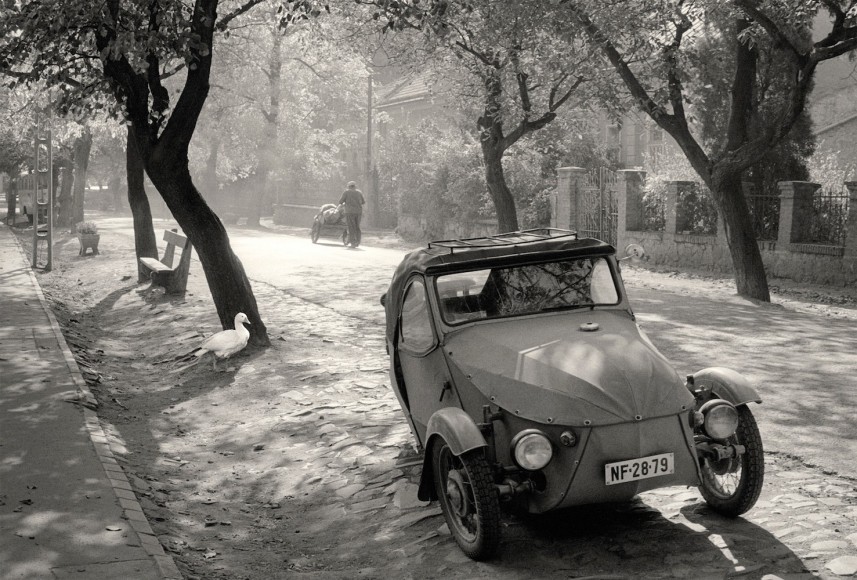 Miskolc, Hungary (duck and car), 1979