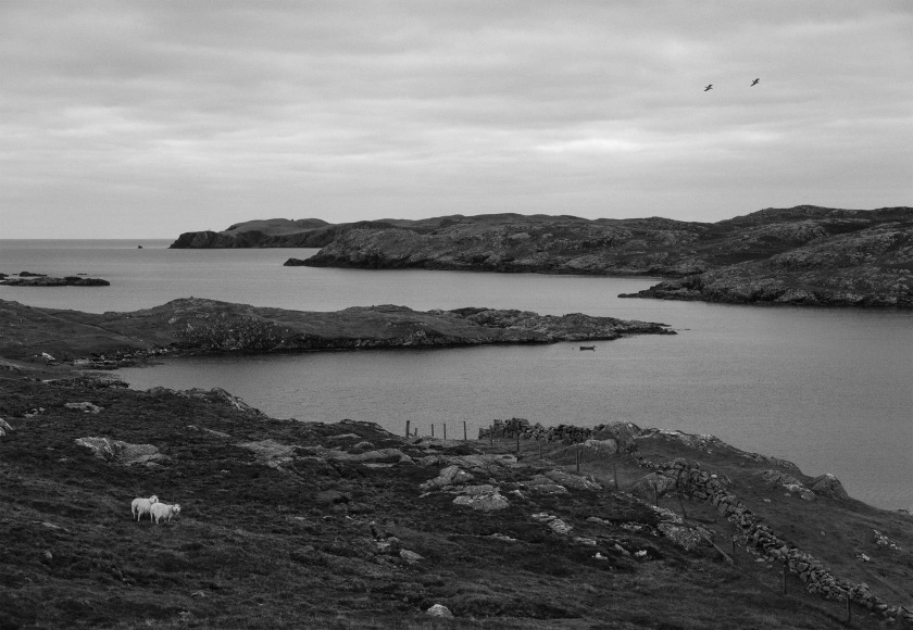 Pentti Sammallahti (b. 1950, Helsinki)