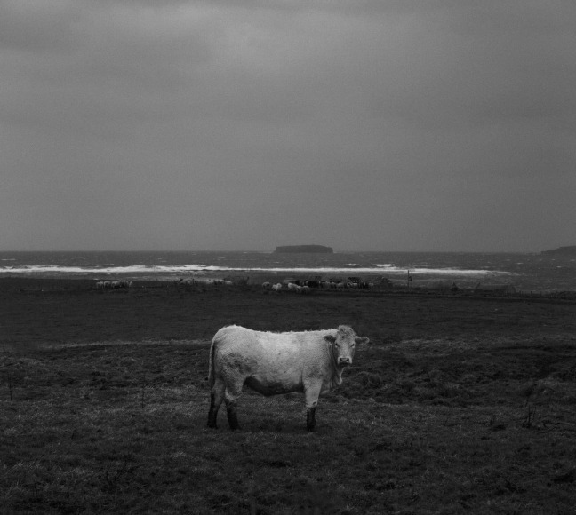 Pentti Sammallahti (b. 1950, Helsinki)