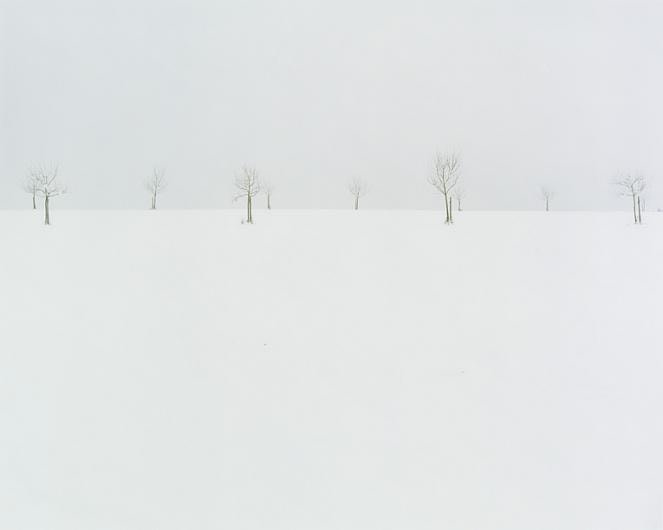 #4, 2004, C-type print