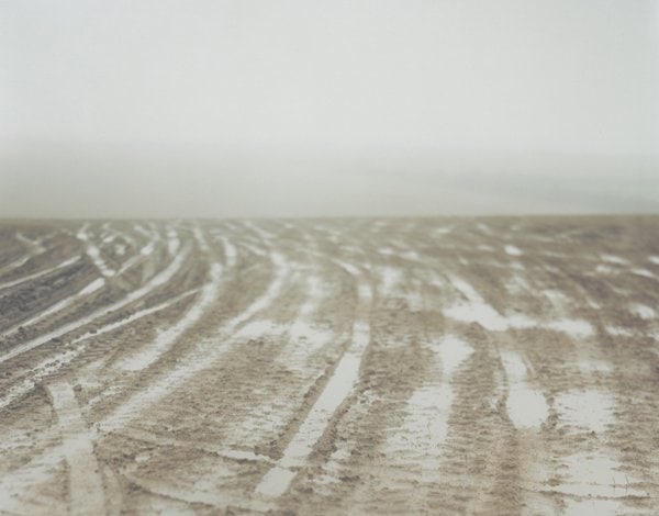 #5,&nbsp;2009, C-type print