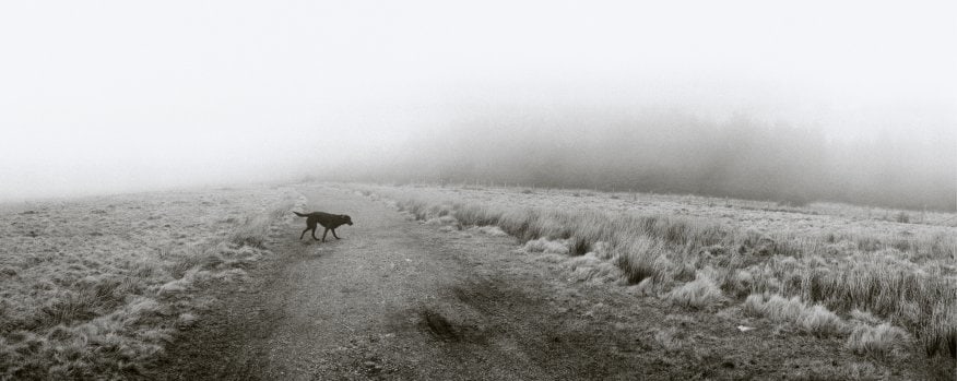 Llanwuno, Wales, 1995, Gelatin silver print