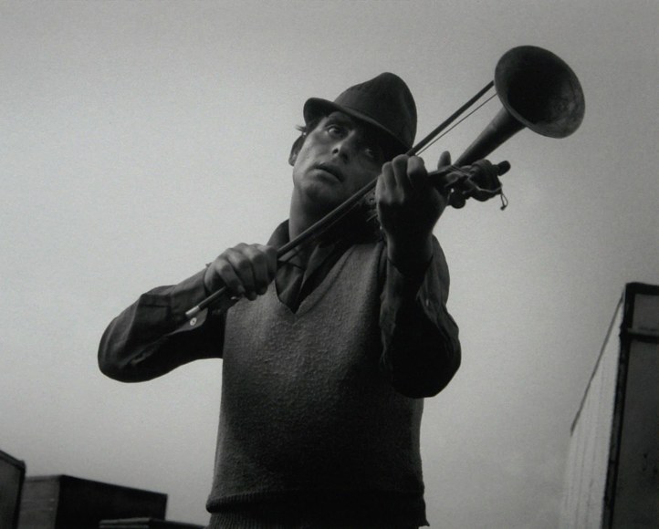 violin player, hungary