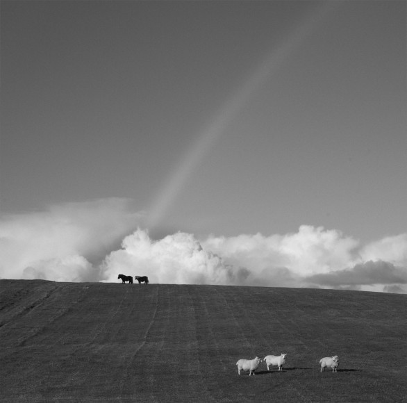 Pentti Sammallahti (b. 1950, Helsinki), Skeld, Shetland, Scotland, 2016
