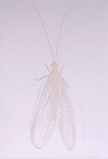 Denis Brihat (b. 1928), Chrysope (Lacewing), 1980
