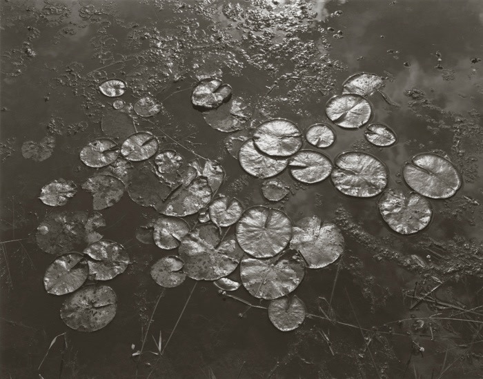 George Tice (b. 1938, Newark)