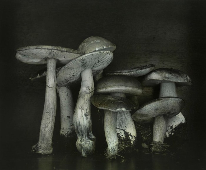 Ingar Krauss (b. 1965, Berlin)