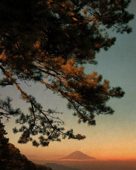 Albarr&aacute;n Cabrera (b. 1969), #514