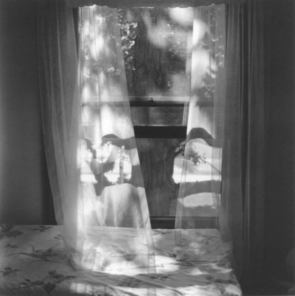 Ann Rhoney (b. 1953, Niagara Falls)