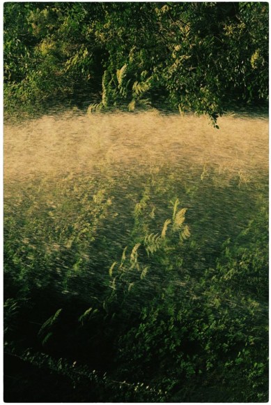 #624 from&nbsp;The Mouth of Krishna, La Palma,&nbsp;2017