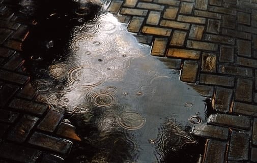Puddle, 1977, Gelatin silver print with applied oil paint