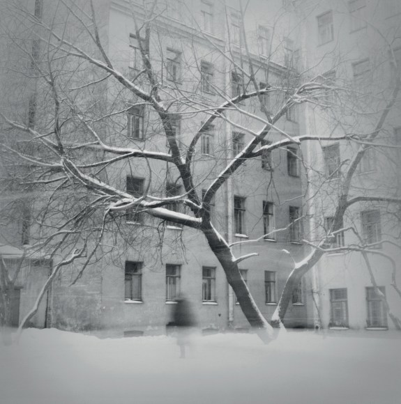 Tree in Snow, St. Petersburg, 1997