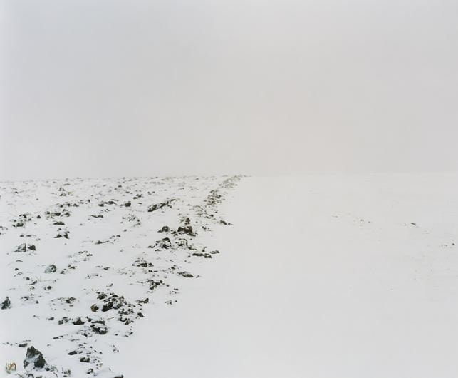 #25, 2006, C-type print