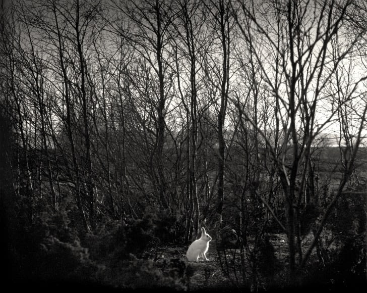 Pentti Sammallahti (b. 1950, Helsinki)