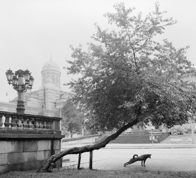Pentti Sammallahti (b. 1950, Helsinki)