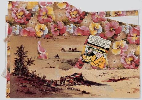 John Ashbery Desert Flowers